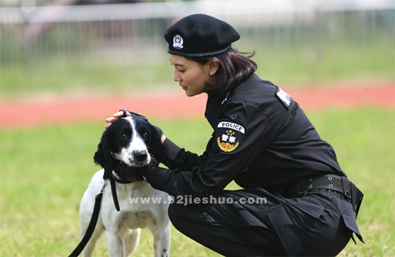 《警花与警犬》电视剧解说文案